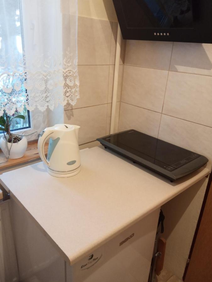 Апартаменти Apartament Curie - Studio Мендзиздроє Екстер'єр фото